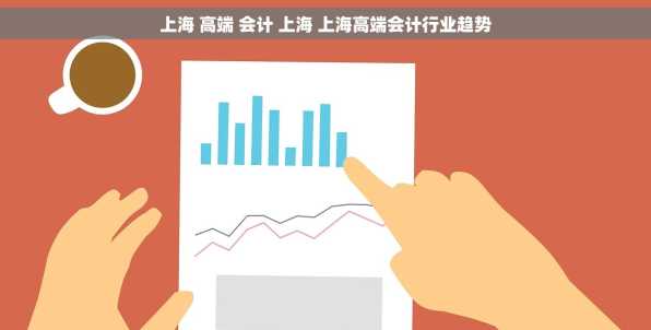 上海 高端 会计 上海 上海高端会计行业趋势