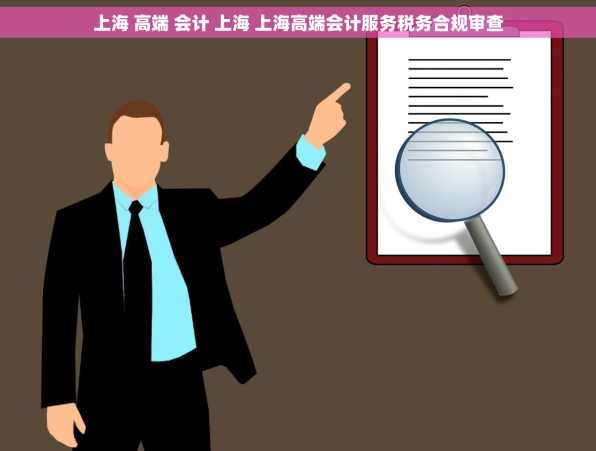 上海 高端 会计 上海 上海高端会计服务税务合规审查