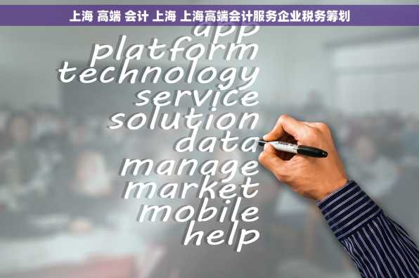 上海 高端 会计 上海 上海高端会计服务企业税务筹划