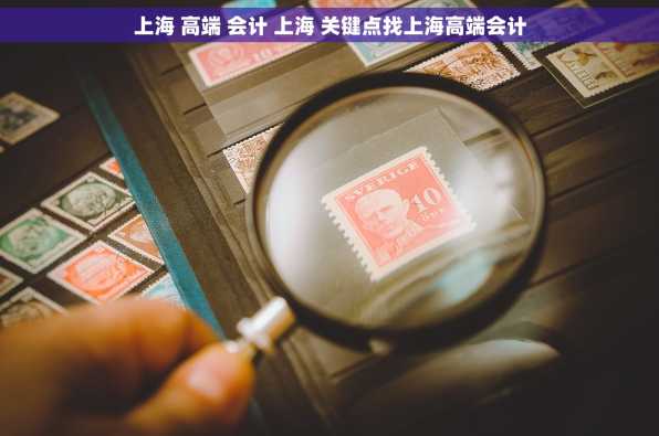 上海 高端 会计 上海 关键点找上海高端会计