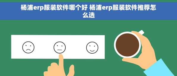 杨浦erp服装软件哪个好 杨浦erp服装软件推荐怎么选