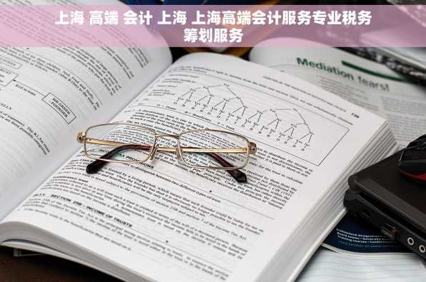 上海 高端 会计 上海 上海高端会计服务专业税务筹划服务
