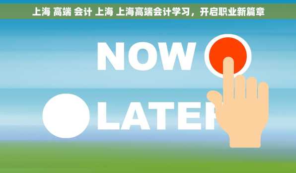 上海 高端 会计 上海 上海高端会计学习，开启职业新篇章