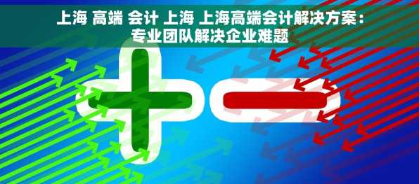 上海 高端 会计 上海 上海高端会计解决方案：专业团队解决企业难题