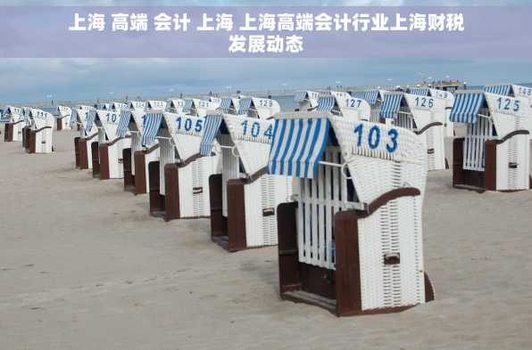 上海 高端 会计 上海 上海高端会计行业上海财税发展动态