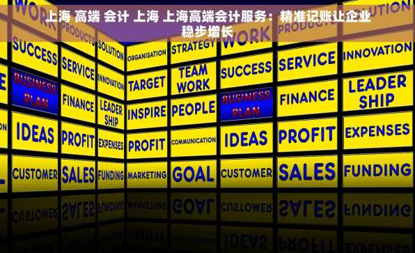 上海 高端 会计 上海 上海高端会计服务：精准记账让企业稳步增长