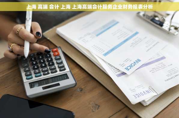 上海 高端 会计 上海 上海高端会计服务企业财务报表分析