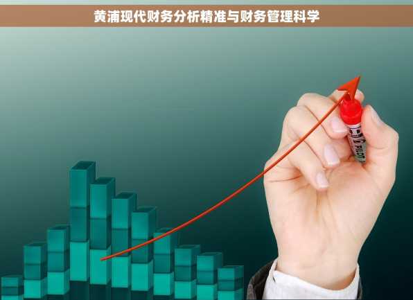 黄浦现代财务分析精准与财务管理科学
