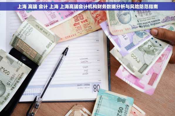 上海 高端 会计 上海 上海高端会计机构财务数据分析与风险防范指南