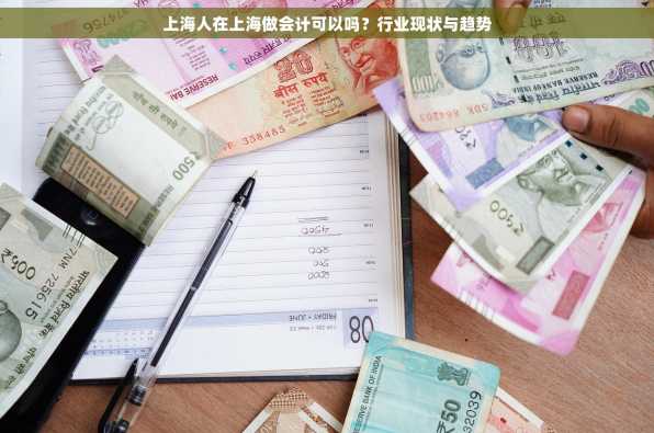 上海人在上海做会计可以吗？行业现状与趋势