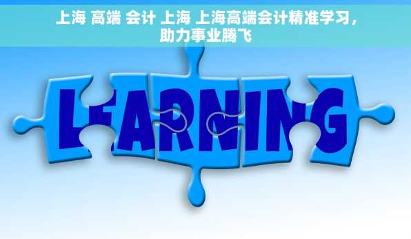 上海 高端 会计 上海 上海高端会计精准学习，助力事业腾飞
