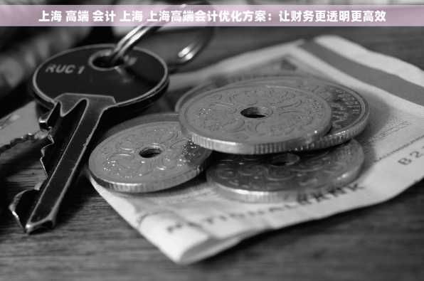 上海 高端 会计 上海 上海高端会计优化方案：让财务更透明更高效
