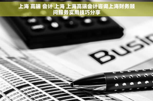 上海 高端 会计 上海 上海高端会计咨询上海财务顾问服务实用技巧分享