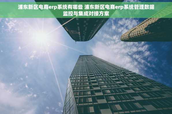 浦东新区电商erp系统有哪些 浦东新区电商erp系统管理数据监控与集成对接方案