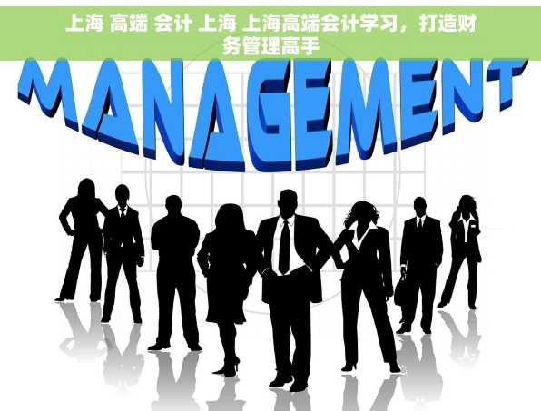 上海 高端 会计 上海 上海高端会计学习，打造财务管理高手