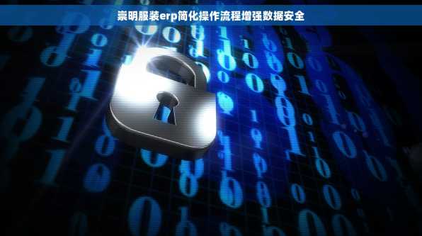 崇明服装erp简化操作流程增强数据安全