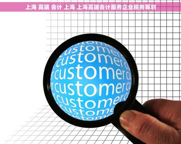 上海 高端 会计 上海 上海高端会计服务企业税务筹划