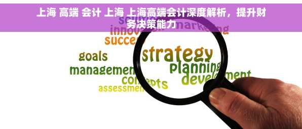 上海 高端 会计 上海 上海高端会计深度解析，提升财务决策能力