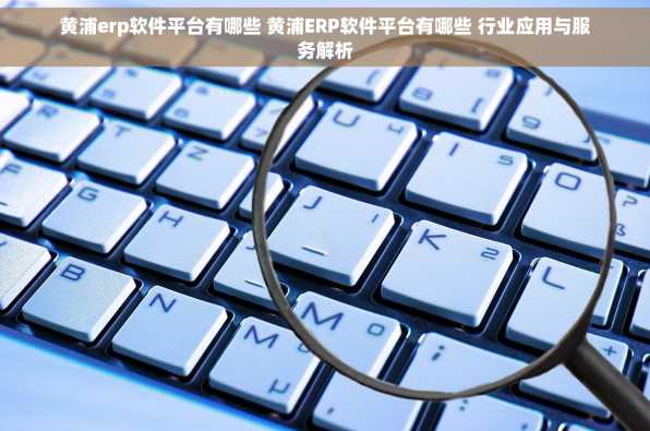黄浦erp软件平台有哪些 黄浦ERP软件平台有哪些 行业应用与服务解析