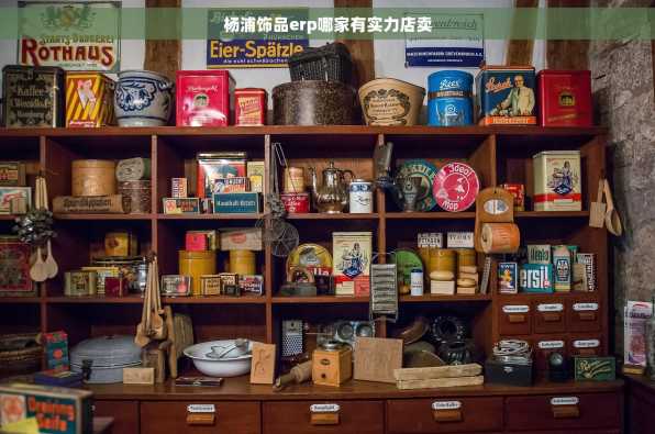 杨浦饰品erp哪家有实力店卖