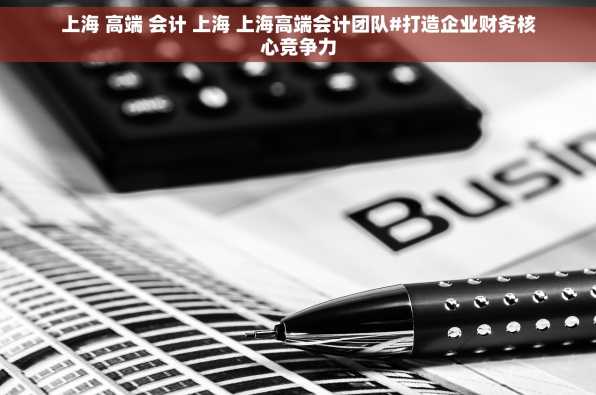 上海 高端 会计 上海 上海高端会计团队#打造企业财务核心竞争力