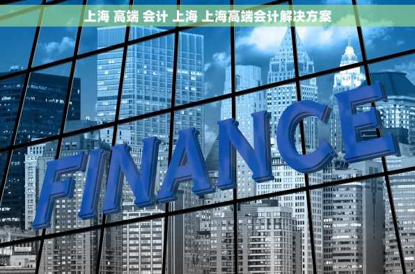 上海 高端 会计 上海 上海高端会计解决方案