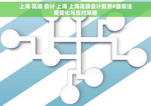 上海 高端 会计 上海 上海高端会计服务#最新法规变化与应对策略