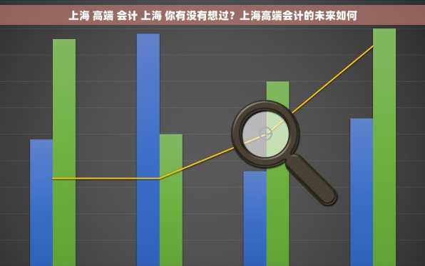 上海 高端 会计 上海 你有没有想过？上海高端会计的未来如何