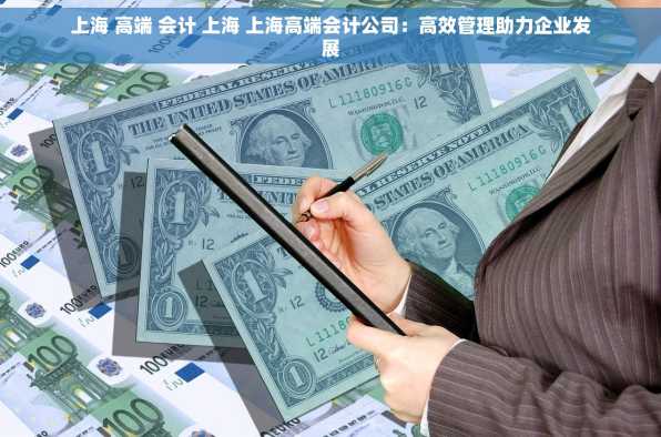上海 高端 会计 上海 上海高端会计公司：高效管理助力企业发展