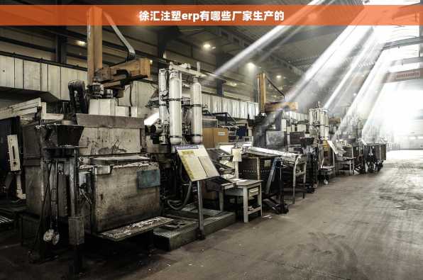 徐汇注塑erp有哪些厂家生产的