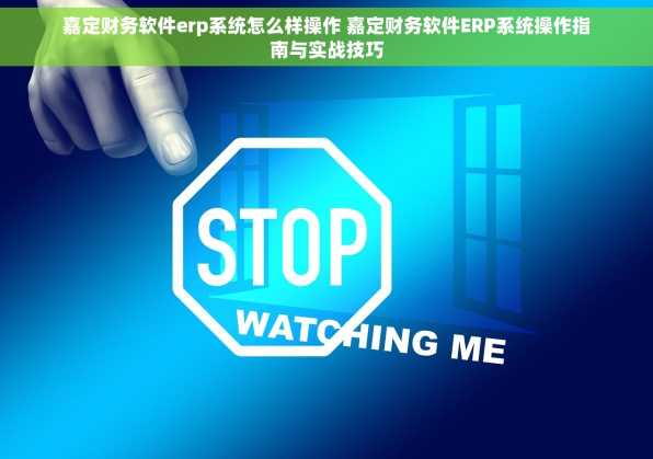 嘉定财务软件erp系统怎么样操作 嘉定财务软件ERP系统操作指南与实战技巧