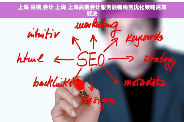 上海 高端 会计 上海 上海高端会计服务最新税务优化策略高效解决
