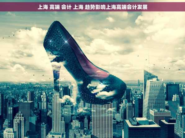 上海 高端 会计 上海 趋势影响上海高端会计发展