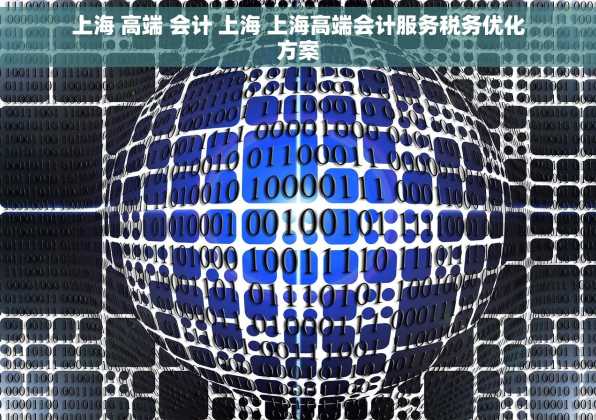 上海 高端 会计 上海 上海高端会计服务税务优化方案