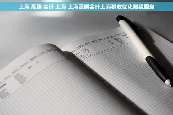 上海 高端 会计 上海 上海高端会计上海税收优化财税服务