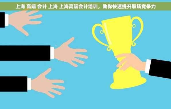 上海 高端 会计 上海 上海高端会计培训，助你快速提升职场竞争力
