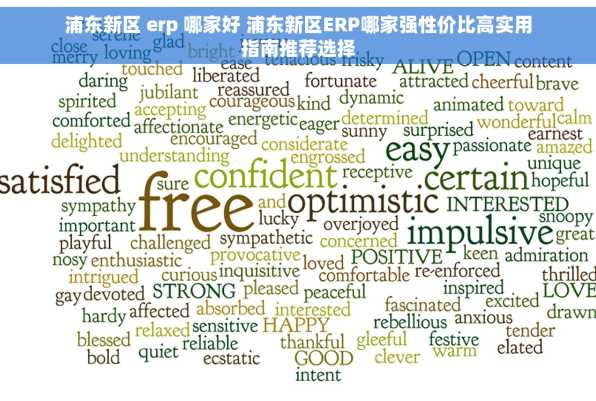 浦东新区 erp 哪家好 浦东新区ERP哪家强性价比高实用指南推荐选择