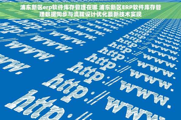 浦东新区erp软件库存管理在哪 浦东新区ERP软件库存管理数据同步与流程设计优化最新技术实现