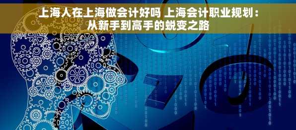 上海人在上海做会计好吗 上海会计职业规划：从新手到高手的蜕变之路