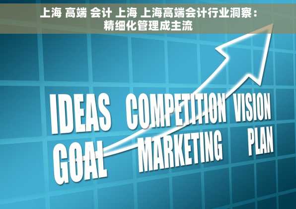 上海 高端 会计 上海 上海高端会计行业洞察：精细化管理成主流