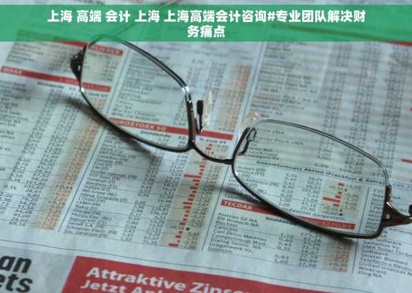 上海 高端 会计 上海 上海高端会计咨询#专业团队解决财务痛点