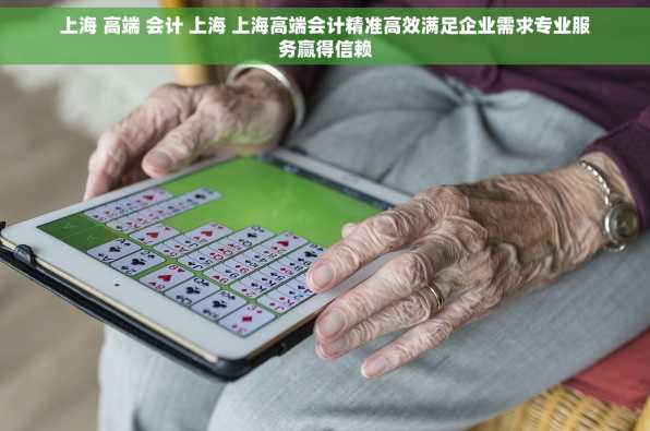 上海 高端 会计 上海 上海高端会计精准高效满足企业需求专业服务赢得信赖