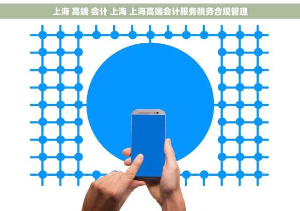 上海 高端 会计 上海 上海高端会计服务税务合规管理