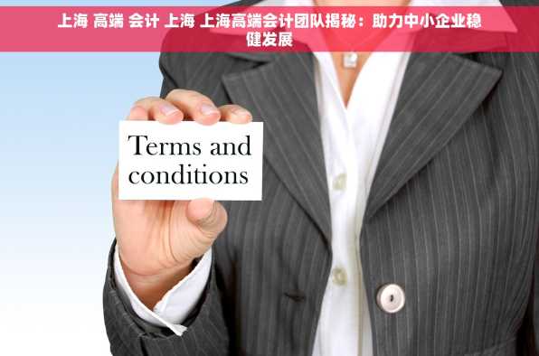 上海 高端 会计 上海 上海高端会计团队揭秘：助力中小企业稳健发展