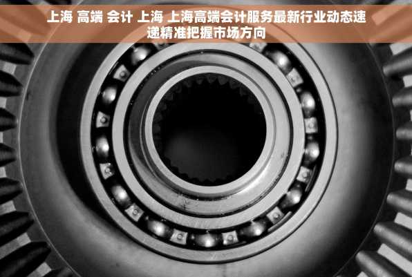上海 高端 会计 上海 上海高端会计服务最新行业动态速递精准把握市场方向
