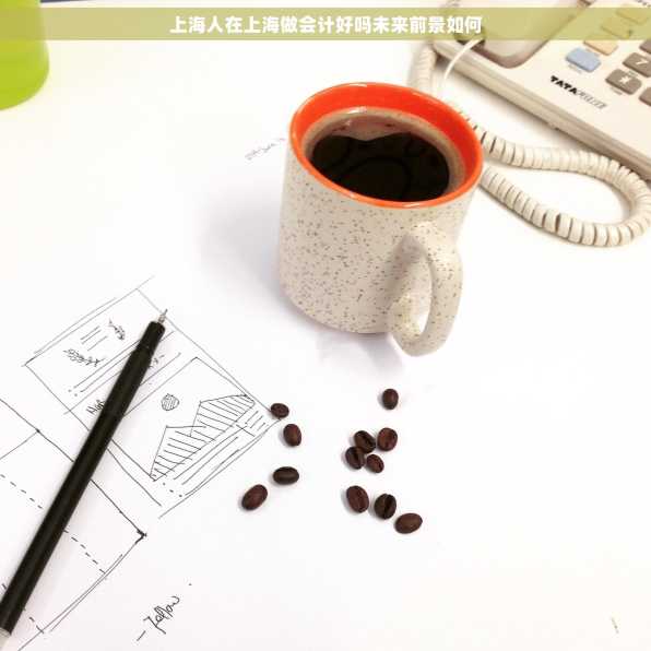 上海人在上海做会计好吗未来前景如何
