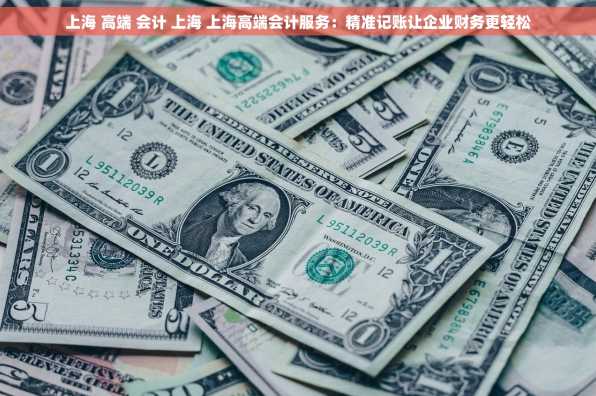 上海 高端 会计 上海 上海高端会计服务：精准记账让企业财务更轻松