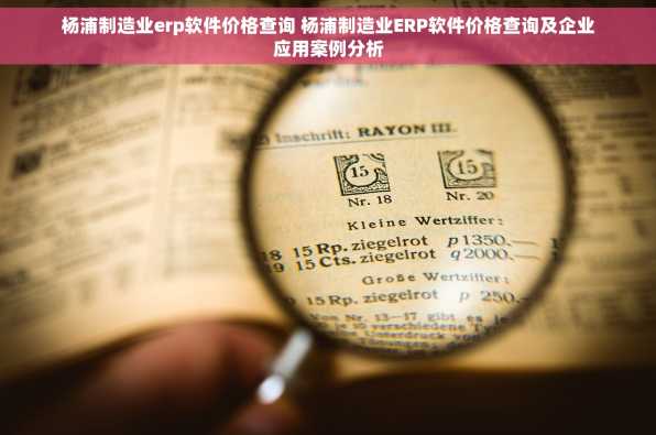 杨浦制造业erp软件价格查询 杨浦制造业ERP软件价格查询及企业应用案例分析