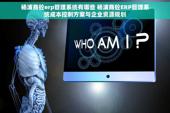 杨浦商砼erp管理系统有哪些 杨浦商砼ERP管理系统成本控制方案与企业资源规划