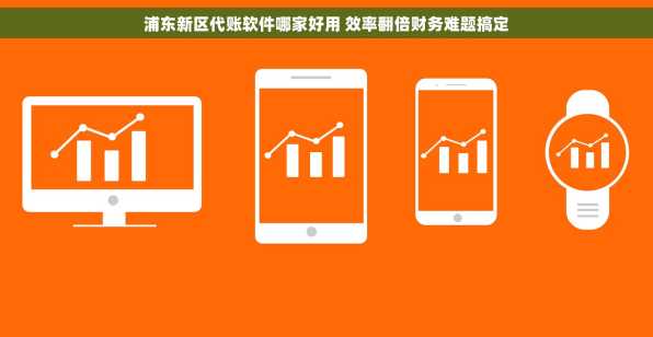 浦东新区代账软件哪家好用 效率翻倍财务难题搞定